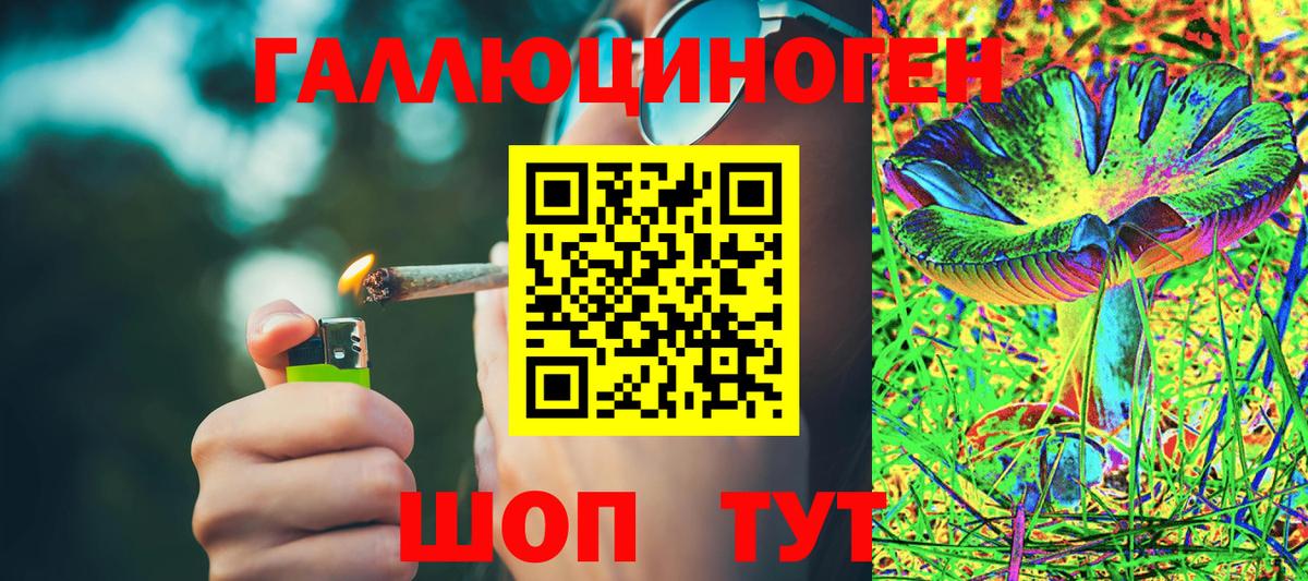 Псилоцибиновые грибы GOLDEN TEACHER  Вход с VPN  Химки 
