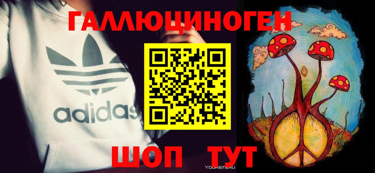 Псилоцибиновые грибы Psilocybine cubensis Химки